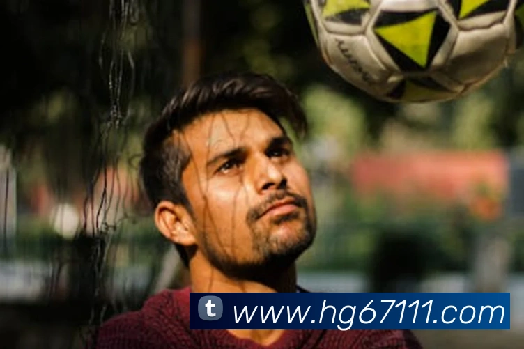 奖项图3